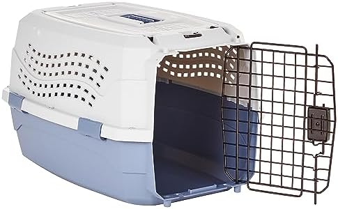 Basics 2-Door Top-Load Hard-Sided Pet Travel Carrier, 23-Inch, Gray & Blue