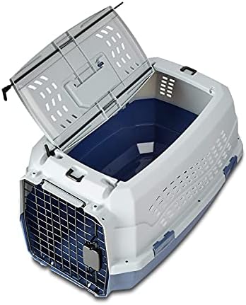 Basics 2-Door Top-Load Hard-Sided Pet Travel Carrier, 23-Inch, Gray & Blue