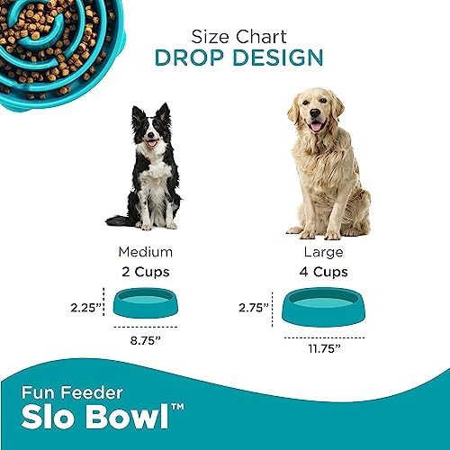 Slow Feeder Dog Bowl, Medium