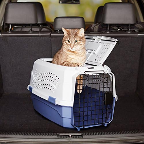 Basics 2-Door Top-Load Hard-Sided Pet Travel Carrier, 23-Inch, Gray & Blue