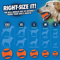 Ultra Ball Dog Toy, Medium (2.5 Inch Diameter) Pack of 2