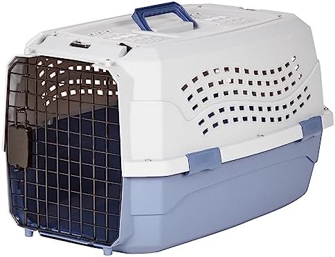 Basics 2-Door Top-Load Hard-Sided Pet Travel Carrier, 23-Inch, Gray & Blue